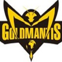 Gold Mantis Technical Works LLC